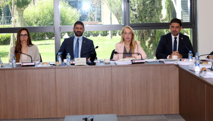 İdari, Kamu ve Sağlık İşleri Komitesi’nde iki yasa tasarısı görüşüldü