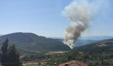Ekipler havadan ve karadan müdahale ediyor