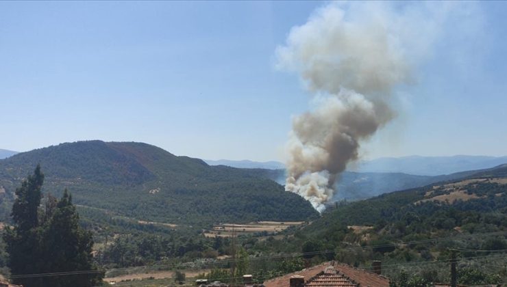 Ekipler havadan ve karadan müdahale ediyor