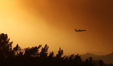 Kanada’da Yangın Söndürme Uçağı Düştü3 Kişi Hayatını Kaybetti