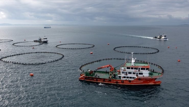 Rusya, Ermenistan’dan balık ithalatını tamamen durdurdu