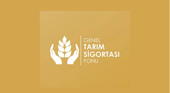 Patates üreticileri için itiraz süresi uzatıldı