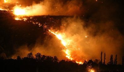 Avrupa Birliği’nden orman yangınlarına karşı yeni önlem ve hazırlık kararı
