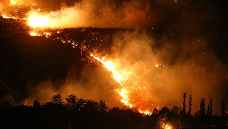 Avrupa Birliği’nden orman yangınlarına karşı yeni önlem ve hazırlık kararı
