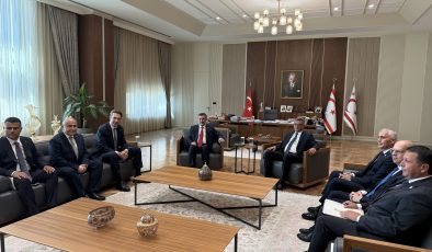 Cumhurbaşkanı Erhürman, Türkiye Cumhuriyeti Cumhurbaşkanı Yardımcısı Yılmaz ile görüştü
