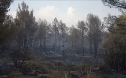 Bir Günde Çıkan 119 Yangından 114’ü Söndürüldü