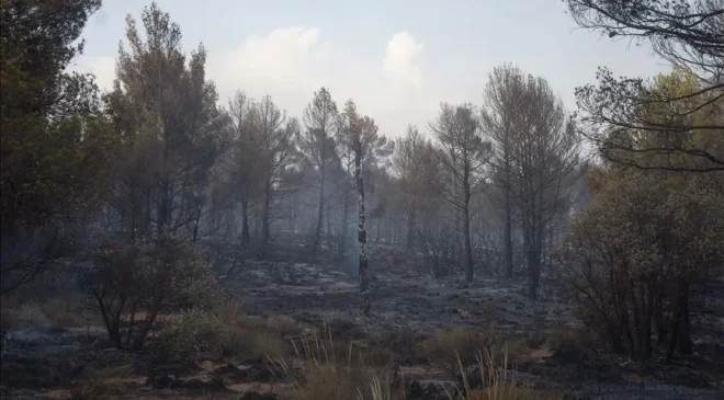 Bir Günde Çıkan 119 Yangından 114’ü Söndürüldü