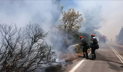 Yunanistan’ın Eğriboz Adası’nda Orman YangınıBir Köy Tahliye Edildi