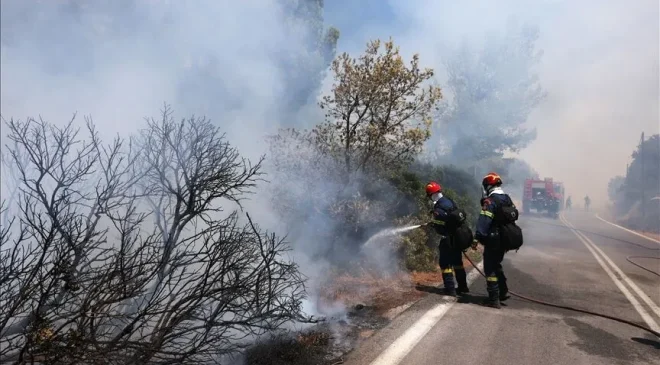 Yunanistan’ın Eğriboz Adası’nda Orman YangınıBir Köy Tahliye Edildi