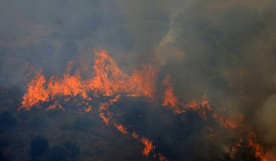 Aşırı Sıcaklar ve Orman Yangınlarıyla Mücadele Ediliyor