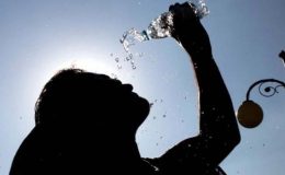 İç Kesimlerde 43 Derece Bekleniyor