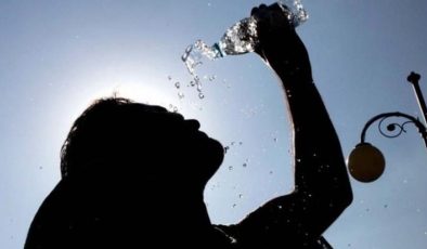 İç Kesimlerde 43 Derece Bekleniyor