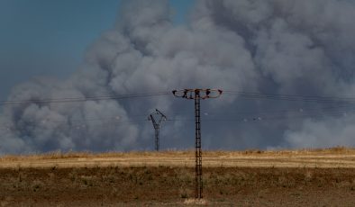 Orman Yangınları Dört Yılda Yüzde 57 Artış Gösterdi