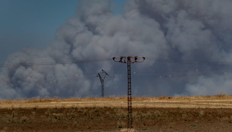 Orman Yangınları Dört Yılda Yüzde 57 Artış Gösterdi