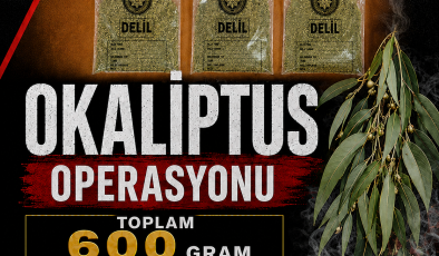600 Gram Uyuşturucu Ele Geçirildi, 3 Tutuklama