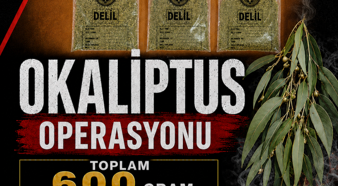 600 Gram Uyuşturucu Ele Geçirildi, 3 Tutuklama