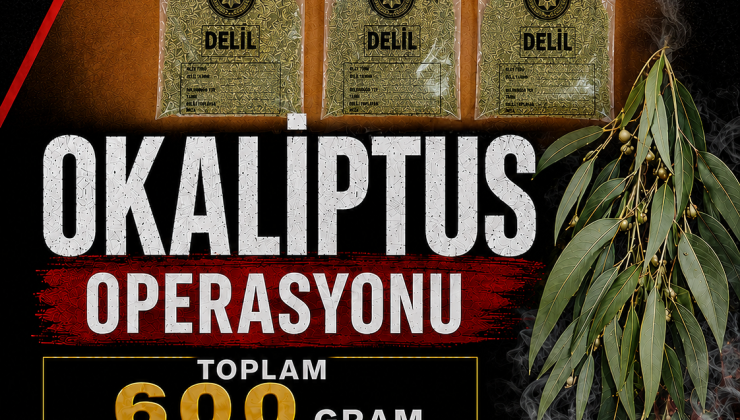 600 Gram Uyuşturucu Ele Geçirildi, 3 Tutuklama