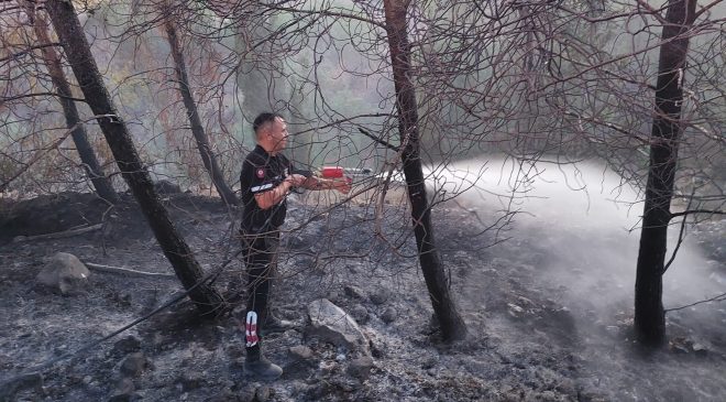 30 Dönümlük Arazi Zarar Gördü