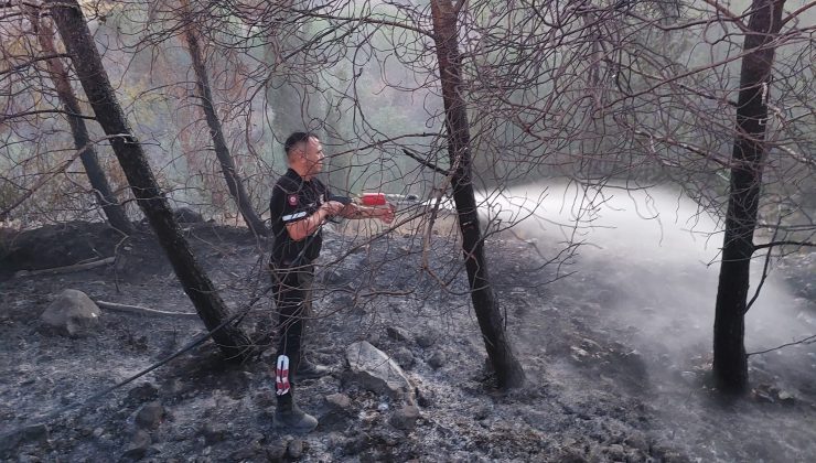 30 Dönümlük Arazi Zarar Gördü