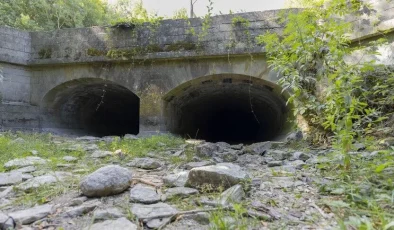 İngiltere ve Galler’de Tarihin En Kurak Temmuz Ayı Kaydedildi