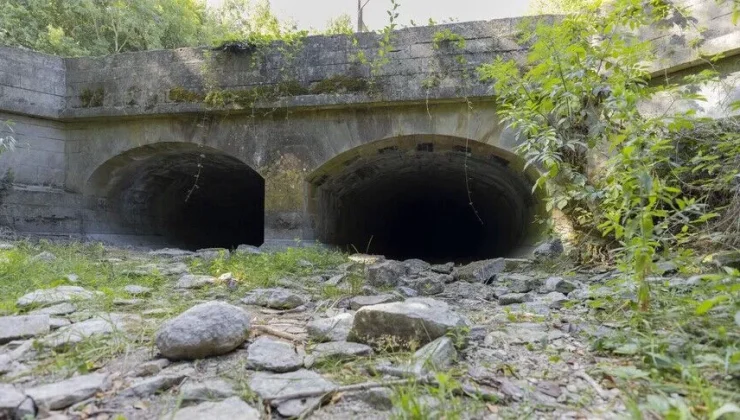 İngiltere ve Galler’de Tarihin En Kurak Temmuz Ayı Kaydedildi