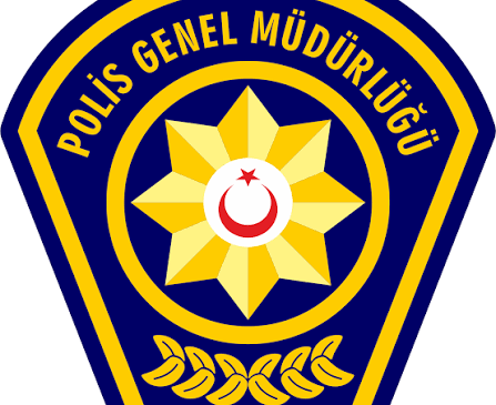 Otomobilin Çarptığı Eşek Telef Oldu
