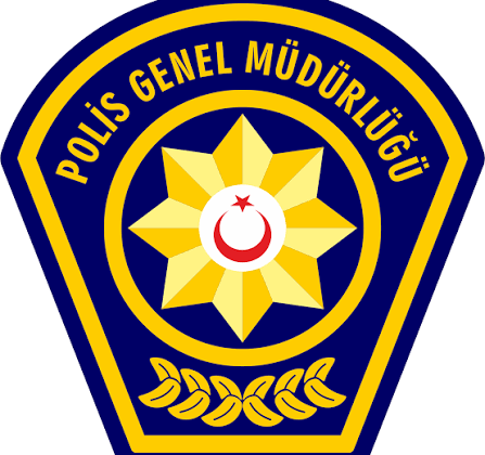 Otomobilin Çarptığı Eşek Telef Oldu