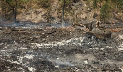 Landes Vilayetinde 1580 Hektar Alan Yandı, Yüzlerce Kişi Tahliye Edildi