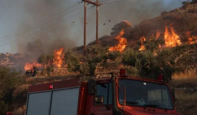 Yunanistan’da Eğriboz Adası ve Meriç ilinde orman yangınları çıktı