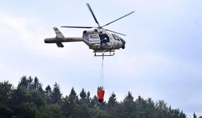 Belçika’da Günlerdir Süren Büyük Orman Yangını Kontrol Altında