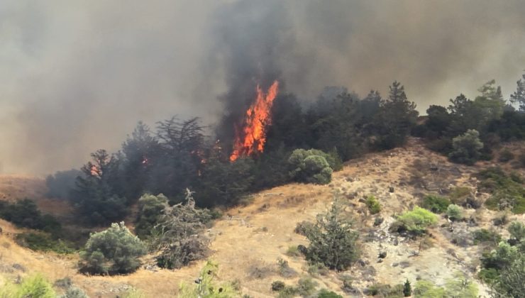 Yamaçköy ile Tirmen Arasındaki Ormanlık Alanda Yangın Çıktı