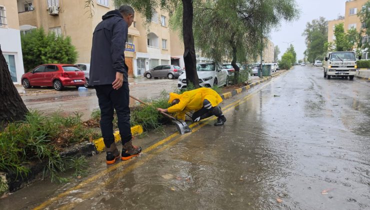 17 Ağaç Devrildi, Ekipler Sahada